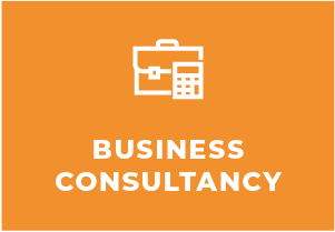 business consultancy services