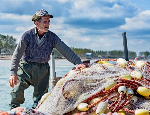 Fishermen Vat Claim Guide: There’s No Easy Job – But There Is Money to Be Claimed Back